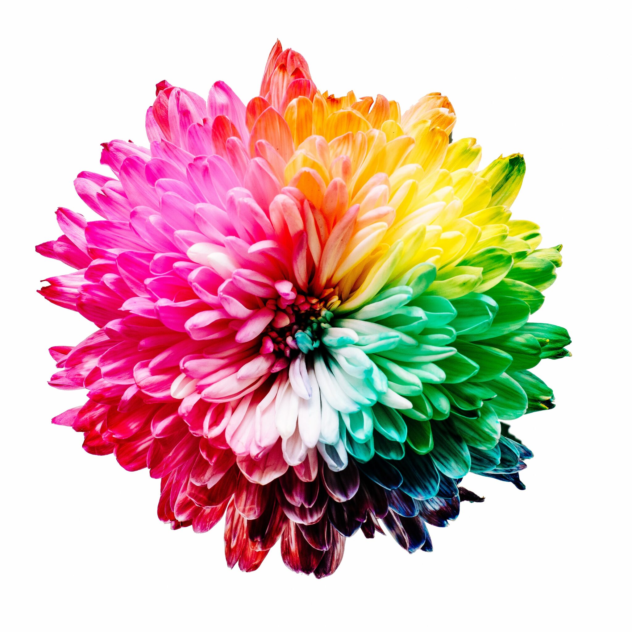 Explosion of color